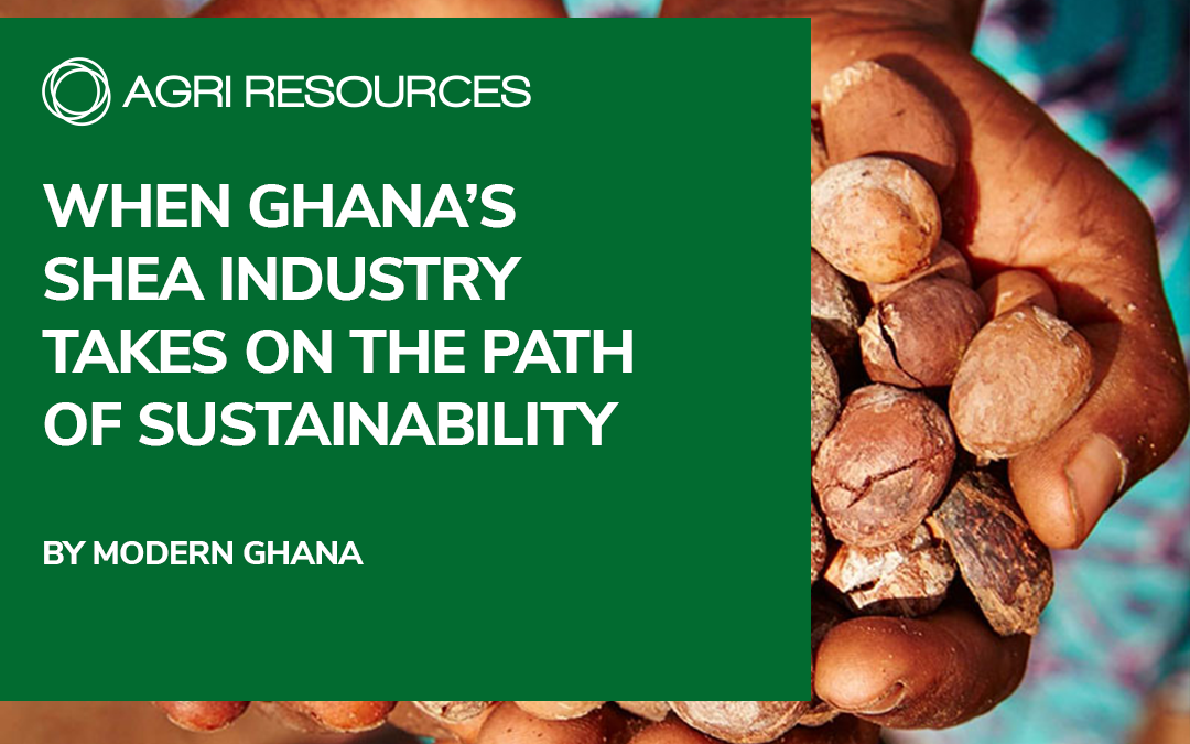 When Ghana’s Shea industry takes on the path of sustainability
